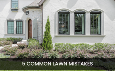 5 Common Lawn Mistakes