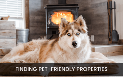 Pet-Friendly Properties – How to Find the Right Home for You and Your Furry Friends
